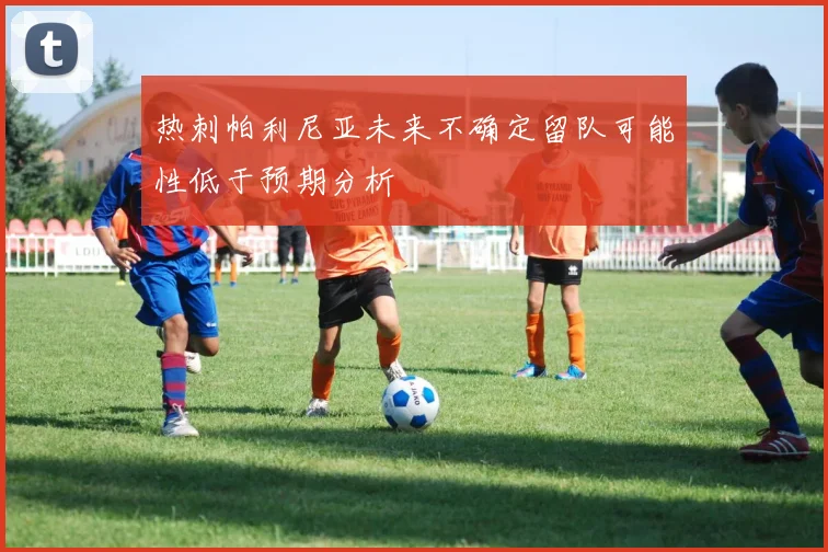 热刺帕利尼亚未来不确定留队可能性低于预期分析