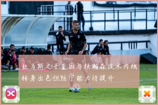 杜马斯之子奎因与杨瀚森技术内线转身出色但防守能力待提升